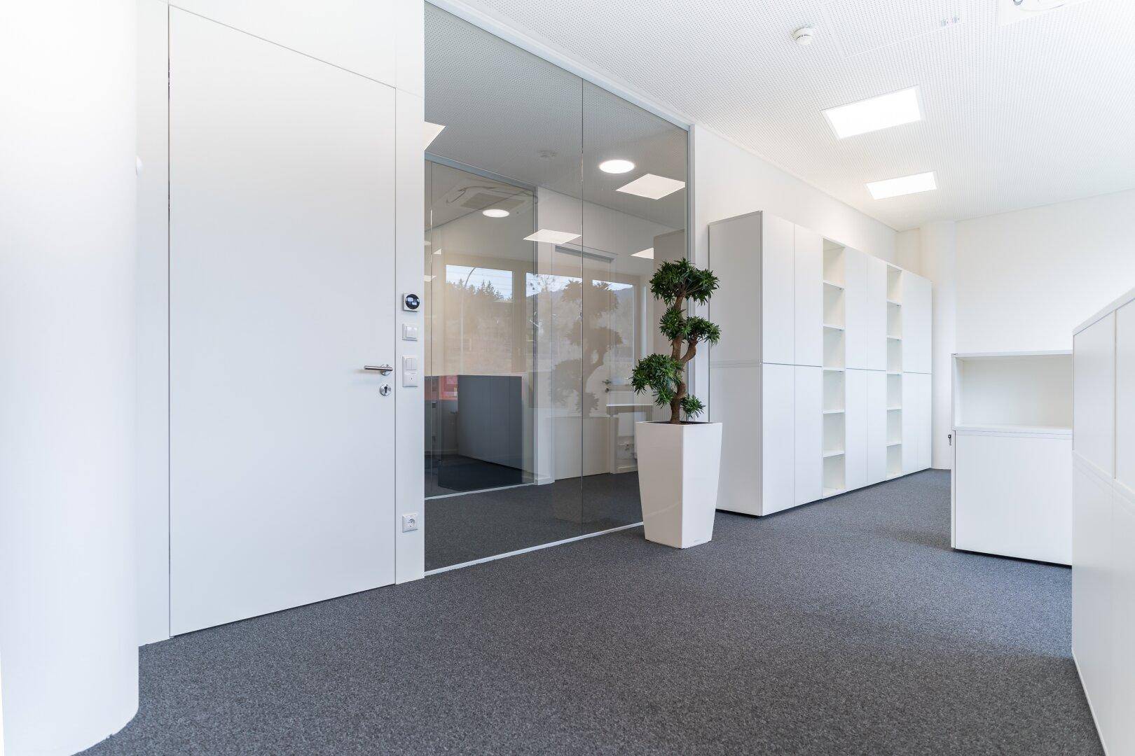 Funktionaler Bürobereich mit weißer Tür, Glaswand und offenen Regalen, ergänzt durch eine dekorative Pflanze.
