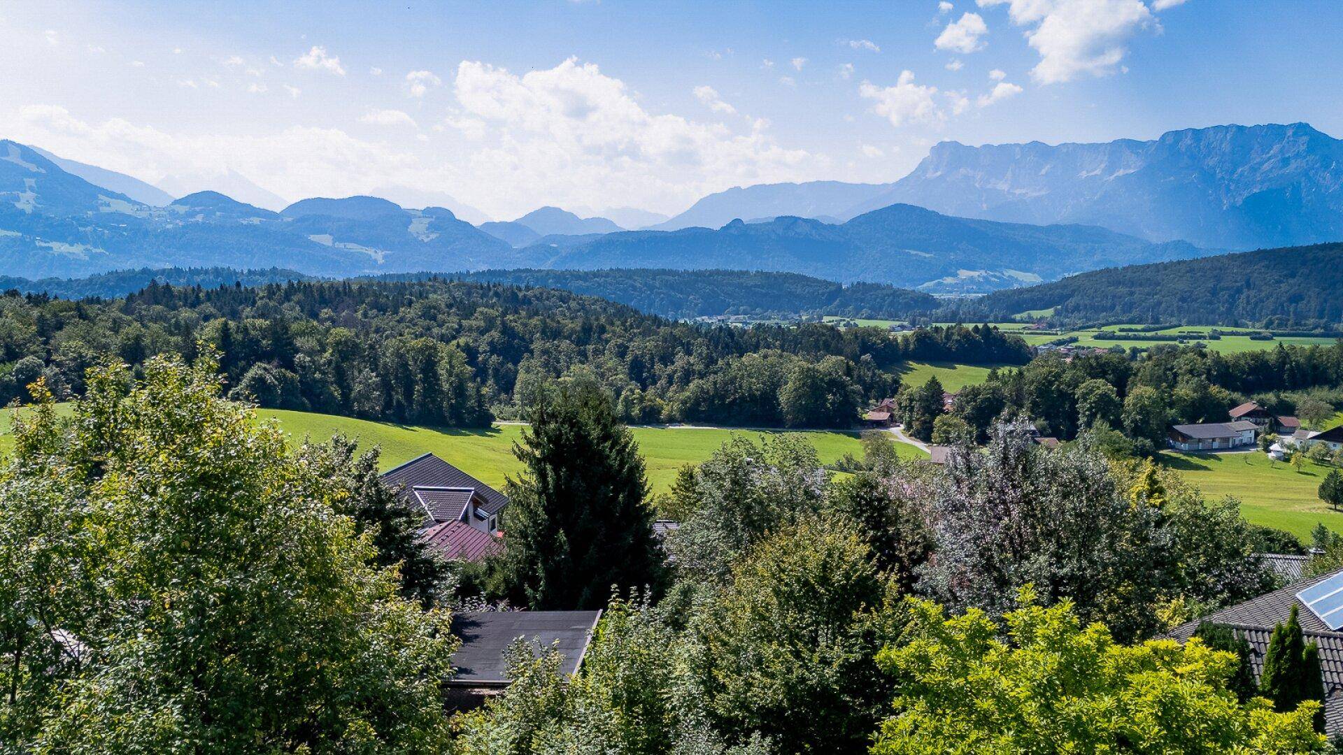 Ausblick