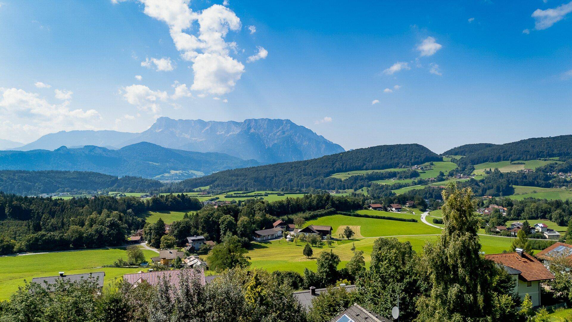 Ausblick