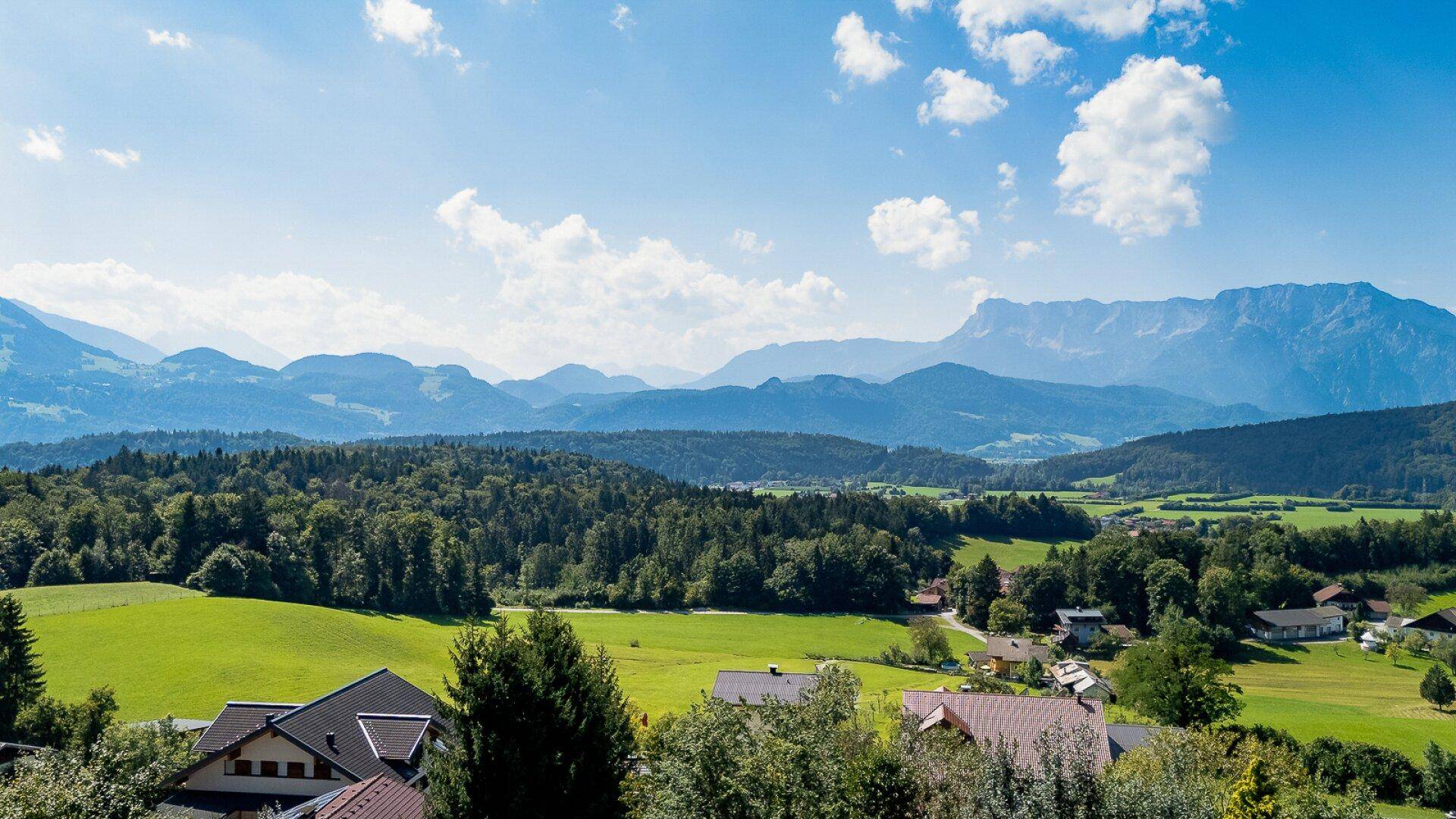 Ausblick