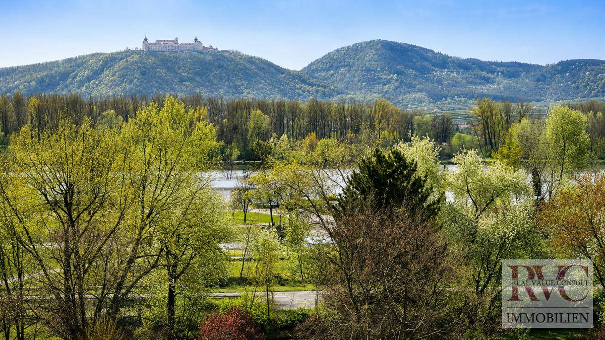 Malerischer Ausblick auf einen Fluss oder See, umgeben von Bäumen und Bergen mit einer Burg.