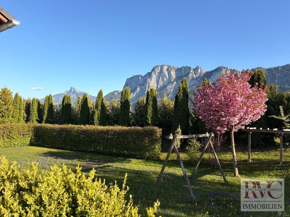Gepflegter Garten mit blühendem Baum, Schaukel und beeindruckendem Bergblick.
