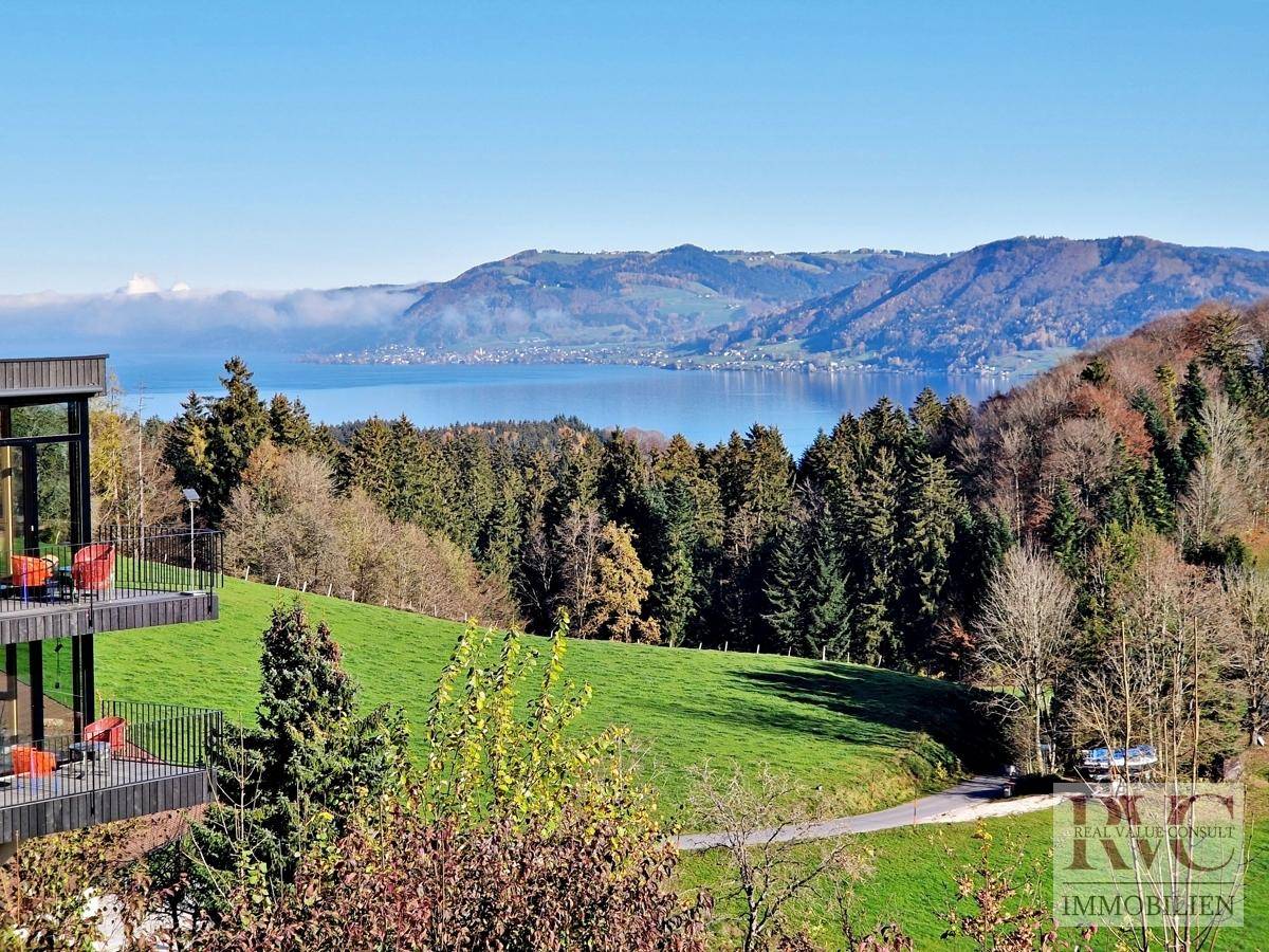 Weitläufiger Blick über grüne Hügel zum See und den dahinterliegenden Bergen.
