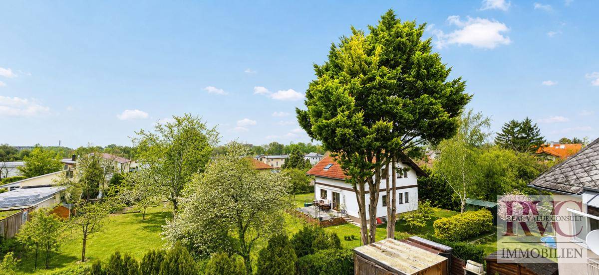 Weitläufige grüne Landschaft mit Bäumen und Häusern in der Ferne unter blauem Himmel.