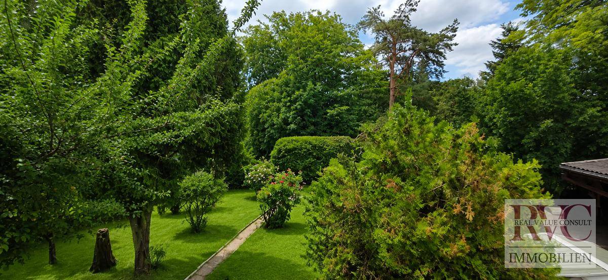 Weitläufiger Garten mit hohen Bäumen und gepflegtem Rasen, bietet viel Privatsphäre.