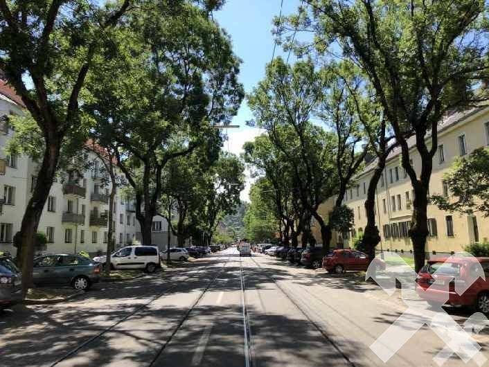 mit viel Grün in Straßenbahn-Nähe