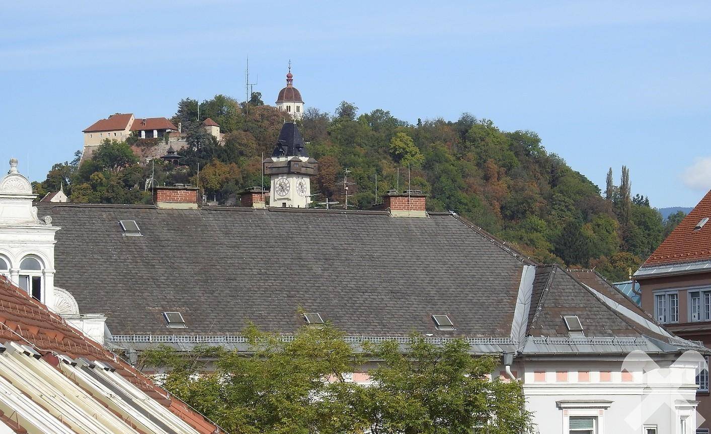 Panoramablick über die Dächer der Stadt mit einer historischen Festung auf einem bewaldeten Hügel im Hintergrund.