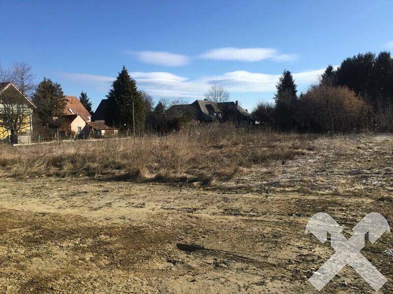 Unbebautes Grundstück mit Blick auf benachbarte Häuser und Nadelbäume in einer ländlichen Umgebung.