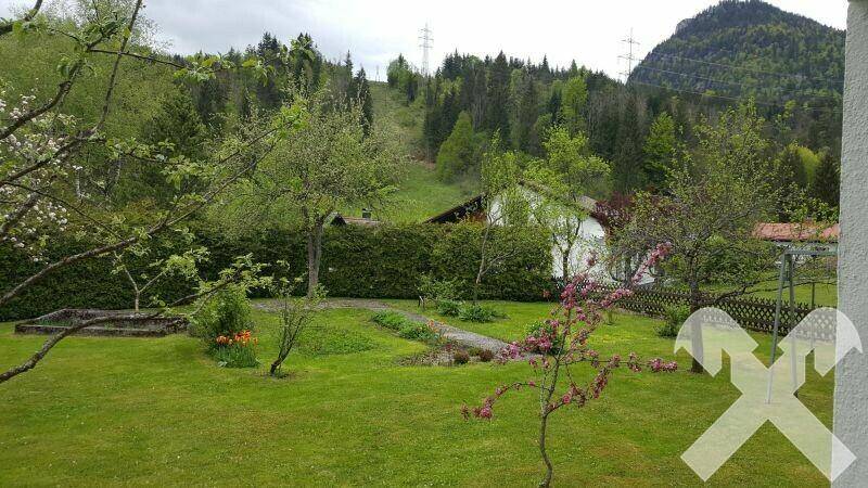 Gepflegter Garten mit Hecke und Blick auf bewaldete Hügel und Stromleitungen.