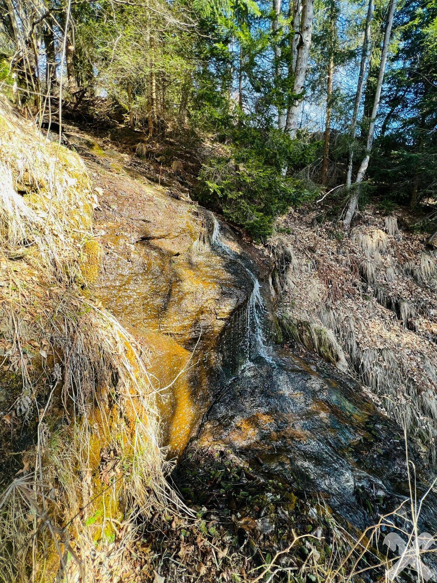 Bächlein auf Ostseite