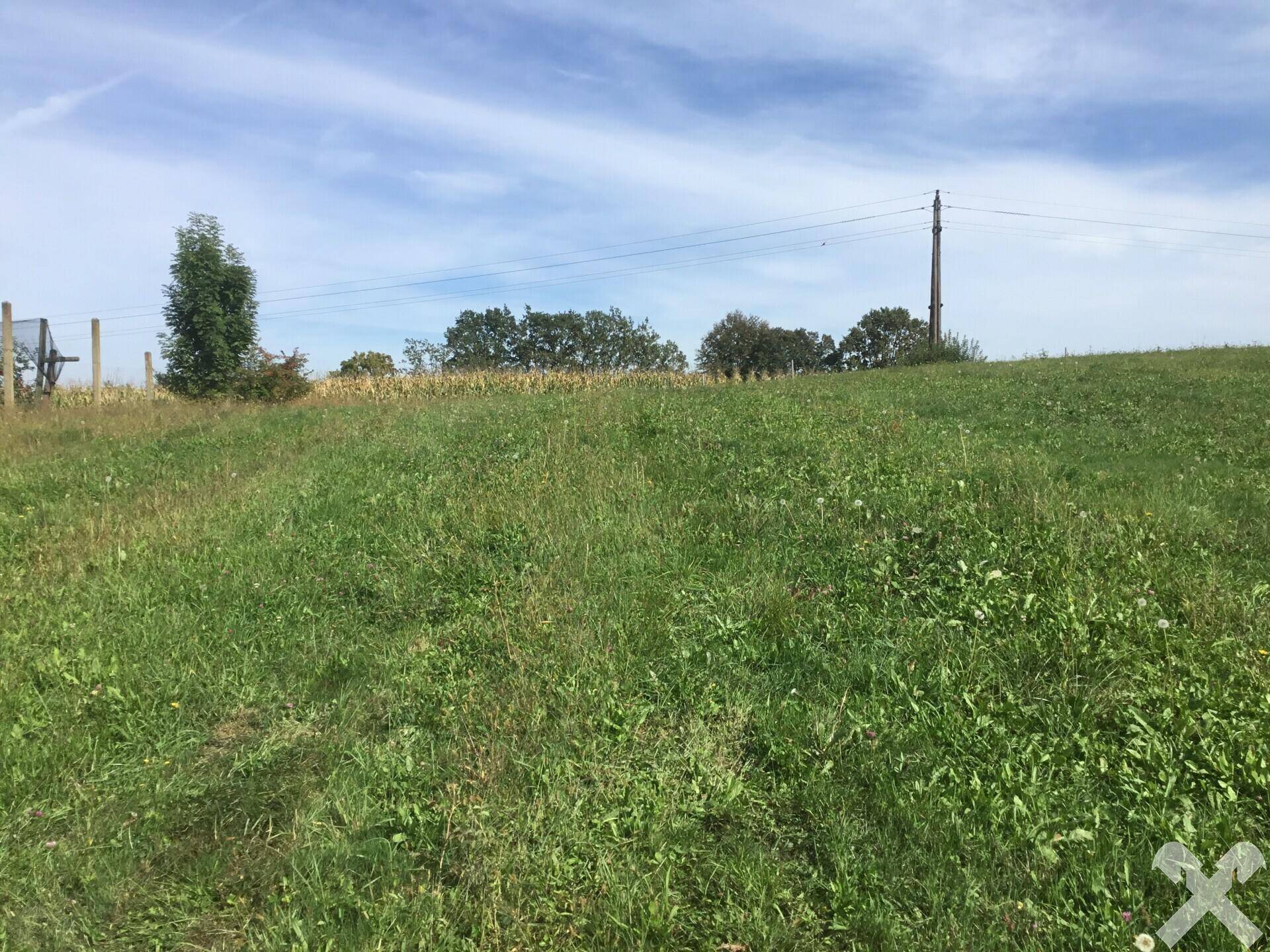 Weitläufige grüne Wiese mit Bäumen im Hintergrund und einem Strommast unter blauem Himmel.
