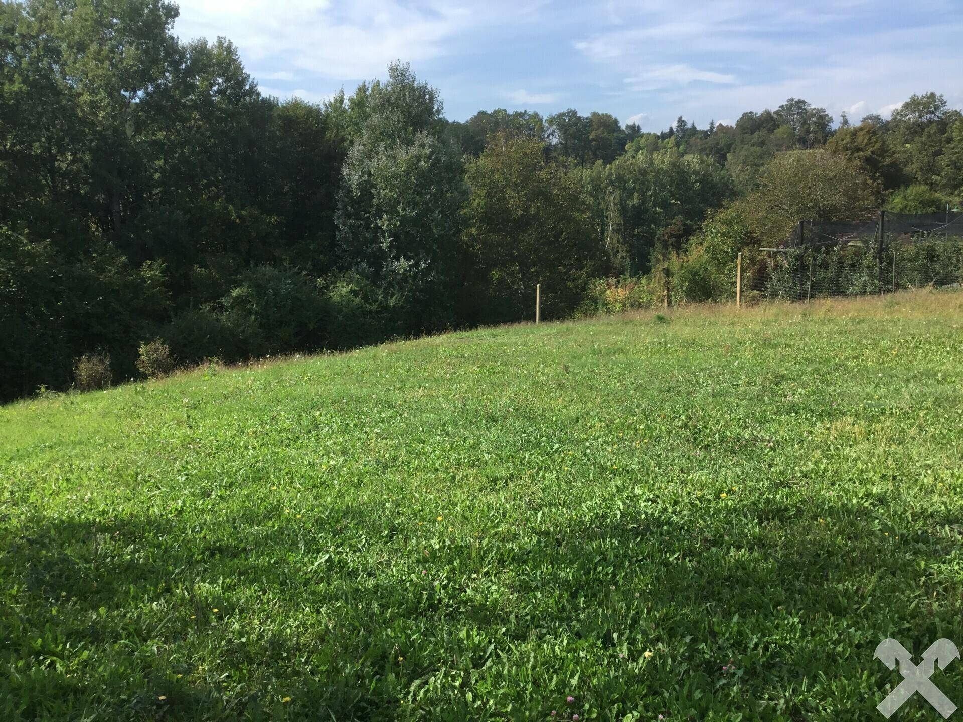 Sonnige, weitläufige Grünfläche mit sanfter Neigung, umgeben von dichtem Baumbestand.