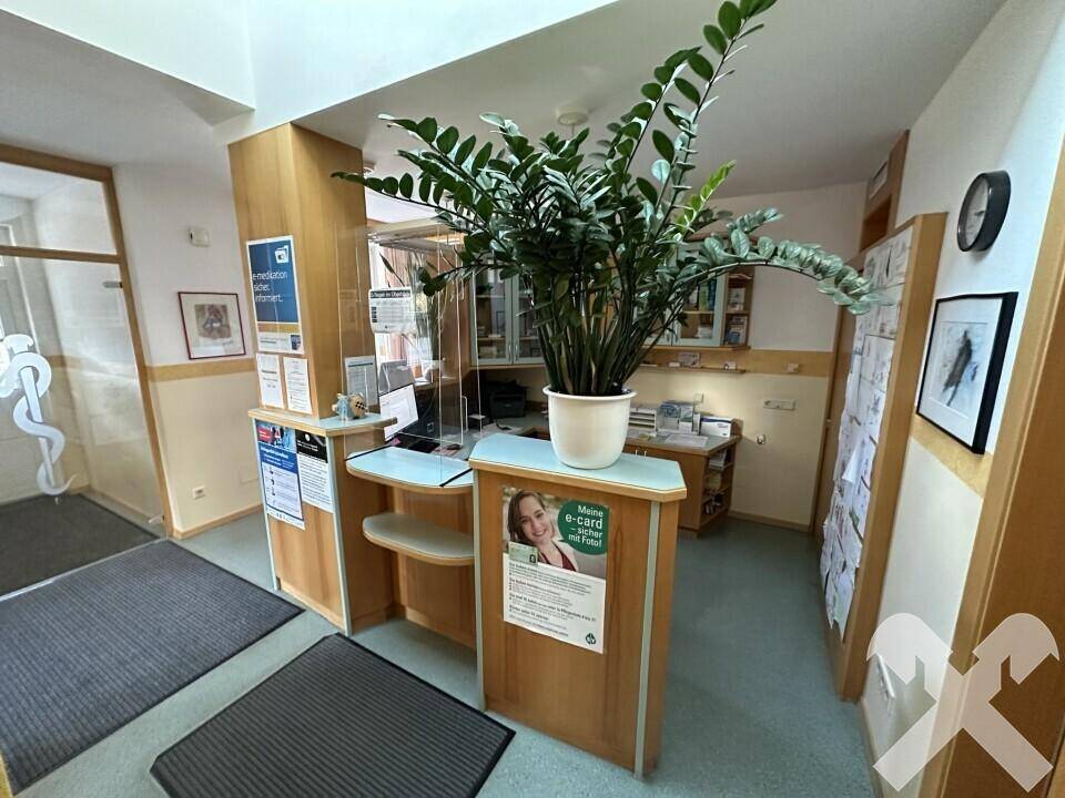 Empfangsbereich mit Schreibtisch, Pflanzen und Informationsmaterial, hell und funktional.