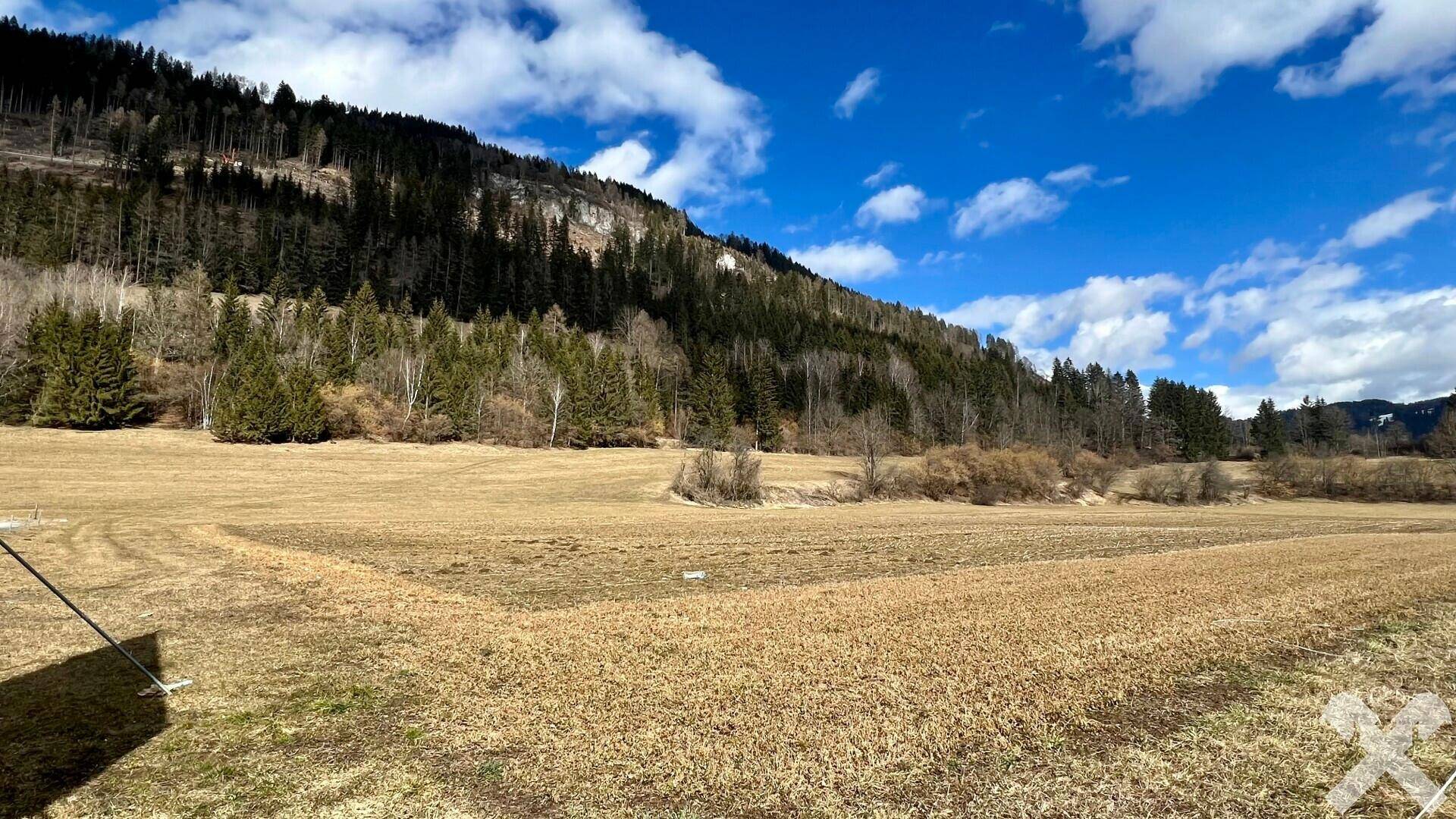 Weites Feld mit trockener Vegetation, umgeben von einem bewaldeten Berg unter einem blauen Himmel mit weißen Wolken.