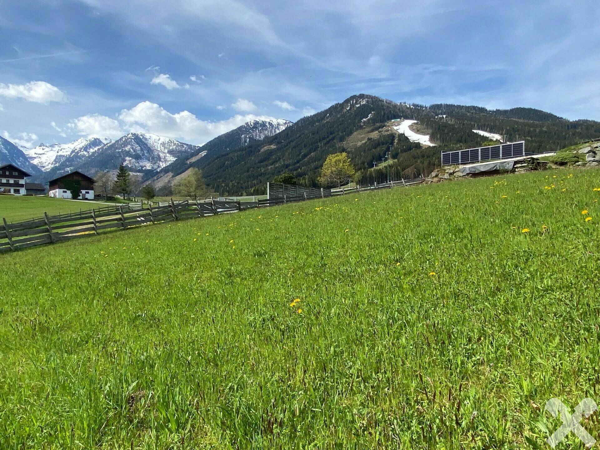 Grüne Hügellandschaft mit Holzzaun, schneebedeckten Bergen und Solaranlagen in der Ferne.