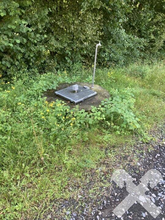 Ein Wasserhahn oder Brunnen auf einem Sockel in einer von Pflanzen bewachsenen Umgebung im Freien.