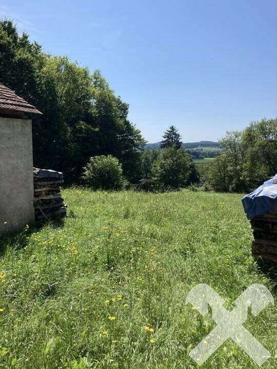 Panoramablick über eine weite grüne Wiese mit Bäumen und sanften Hügeln am Horizont unter blauem Himmel.