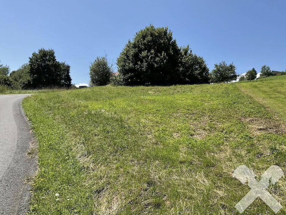 Im Herzen der Weststeiermark - Baugrundstück in Kraubath - Ansicht 4