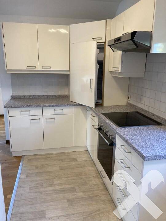 Moderne Einbauküche mit glänzenden weißen Fronten, integriertem Kühlschrank und Kochfeld.