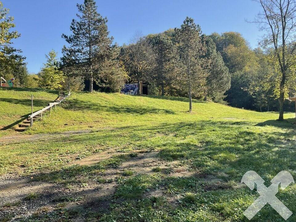 Hügelige Grünfläche mit Bäumen und einer Holztreppe, die den Hang hinaufführt, unter klarem Himmel.