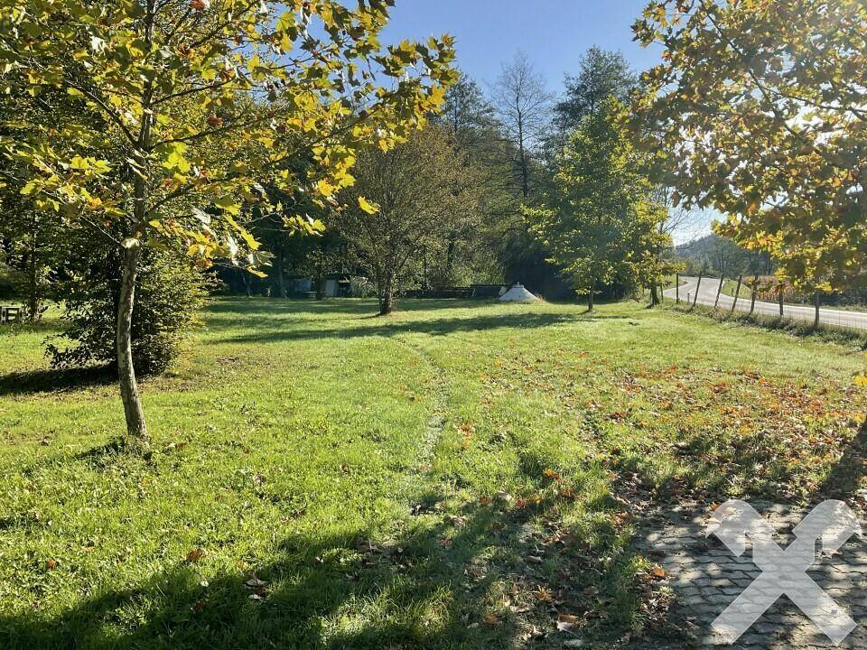 Grüne Wiese mit herbstlichen Bäumen und Laub auf dem Boden, im Hintergrund ist eine Straße erkennbar.