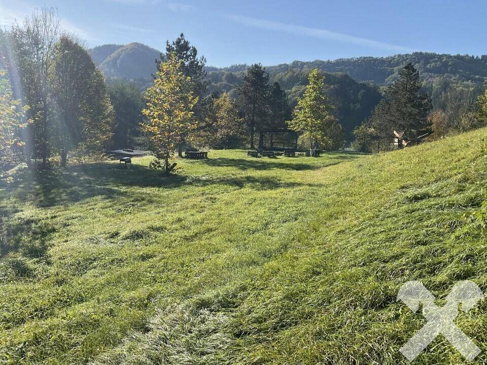 Große, grüne Wiese mit vereinzelten Bäumen und Sitzgelegenheiten, umgeben von bewaldeten Hügeln.