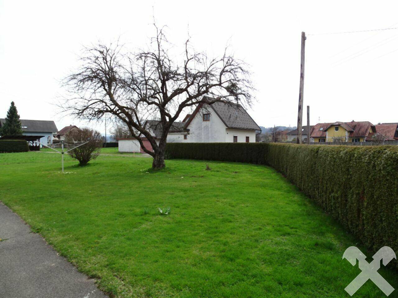 Großer grüner Rasen mit altem Baum und Hecke, umgeben von weiteren Häusern.