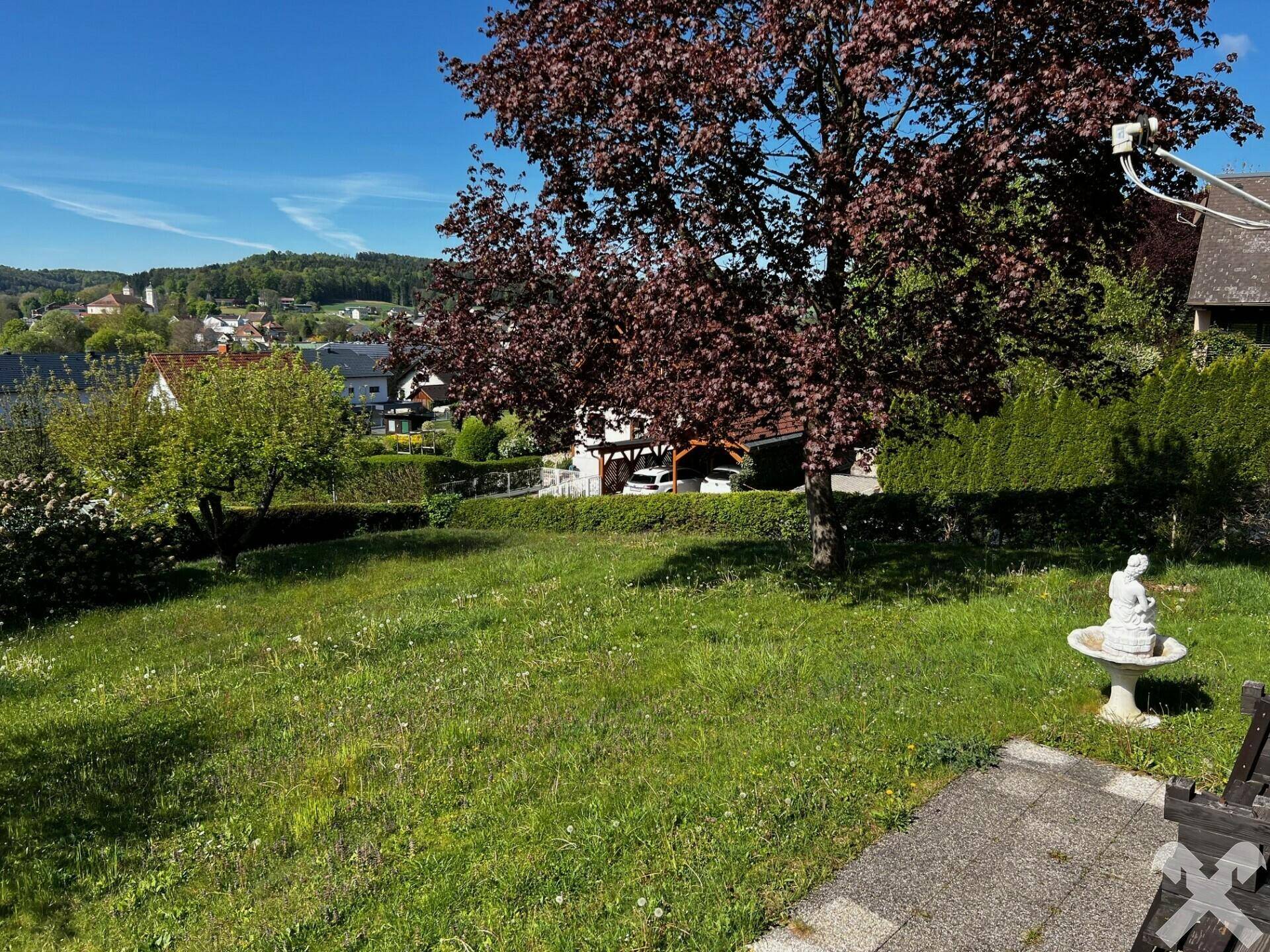 Baumbestand mit Terrasse