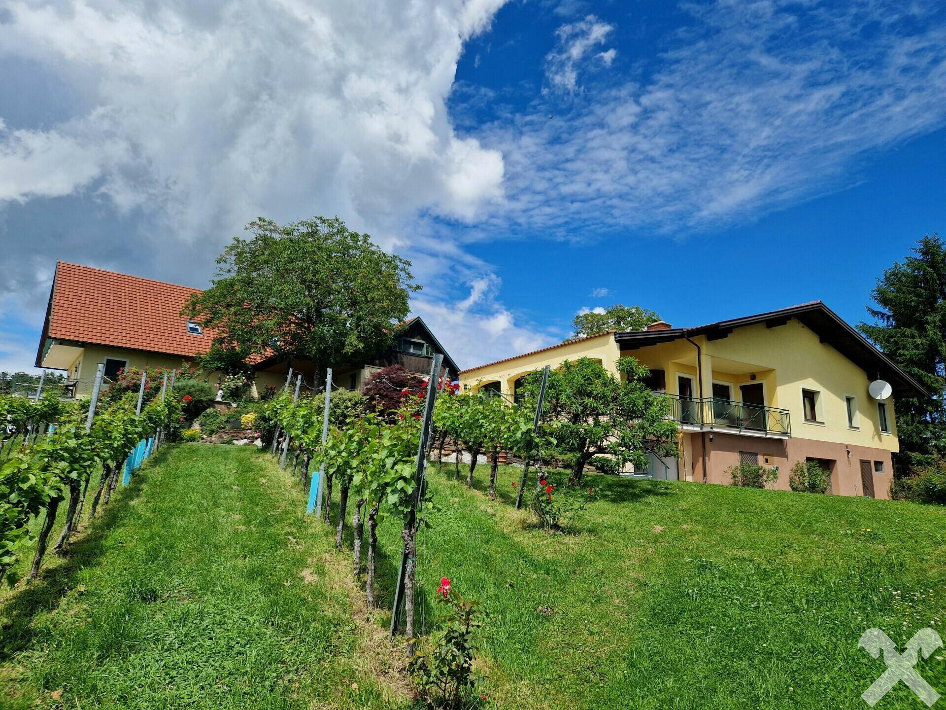 Blick v. Weingarten zum Wohnhaus