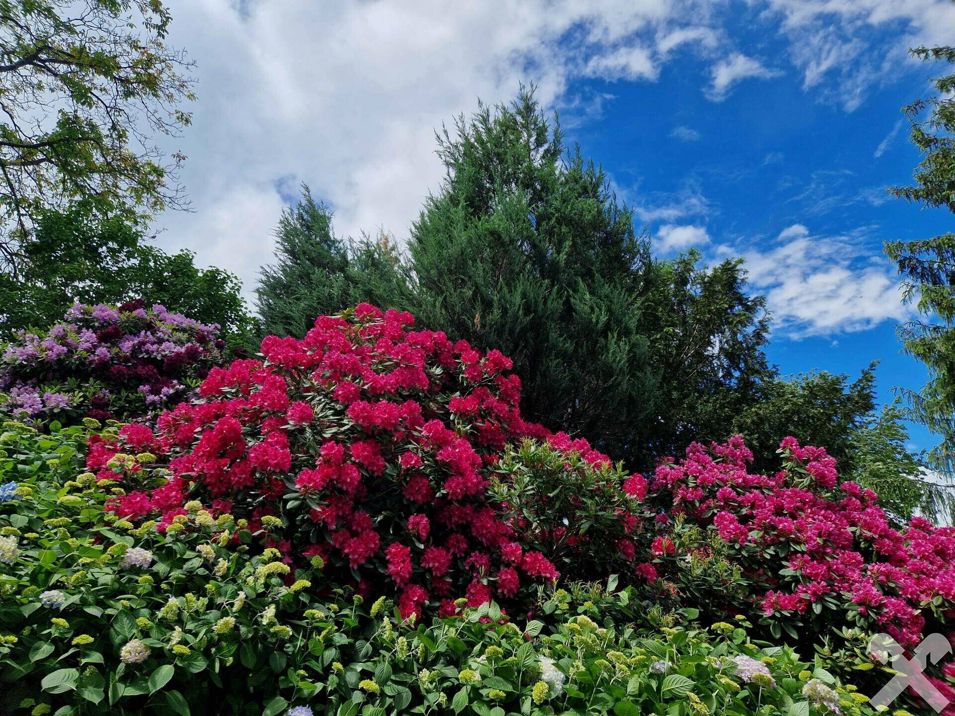 Gartenanlage, Einfahrt