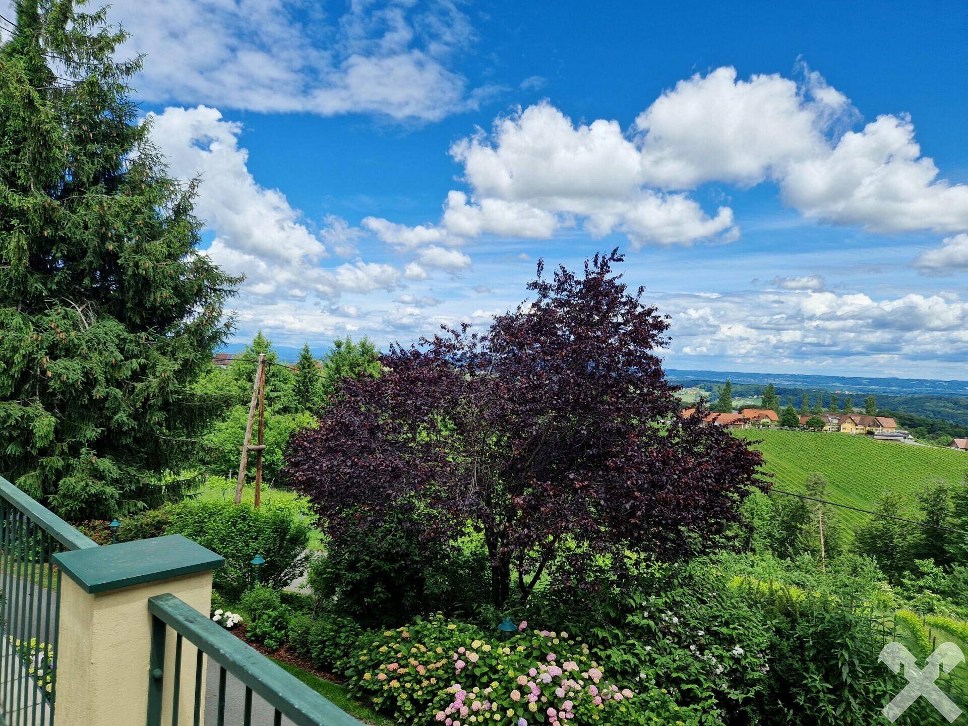 Presshaus, Blick v. Terrasse