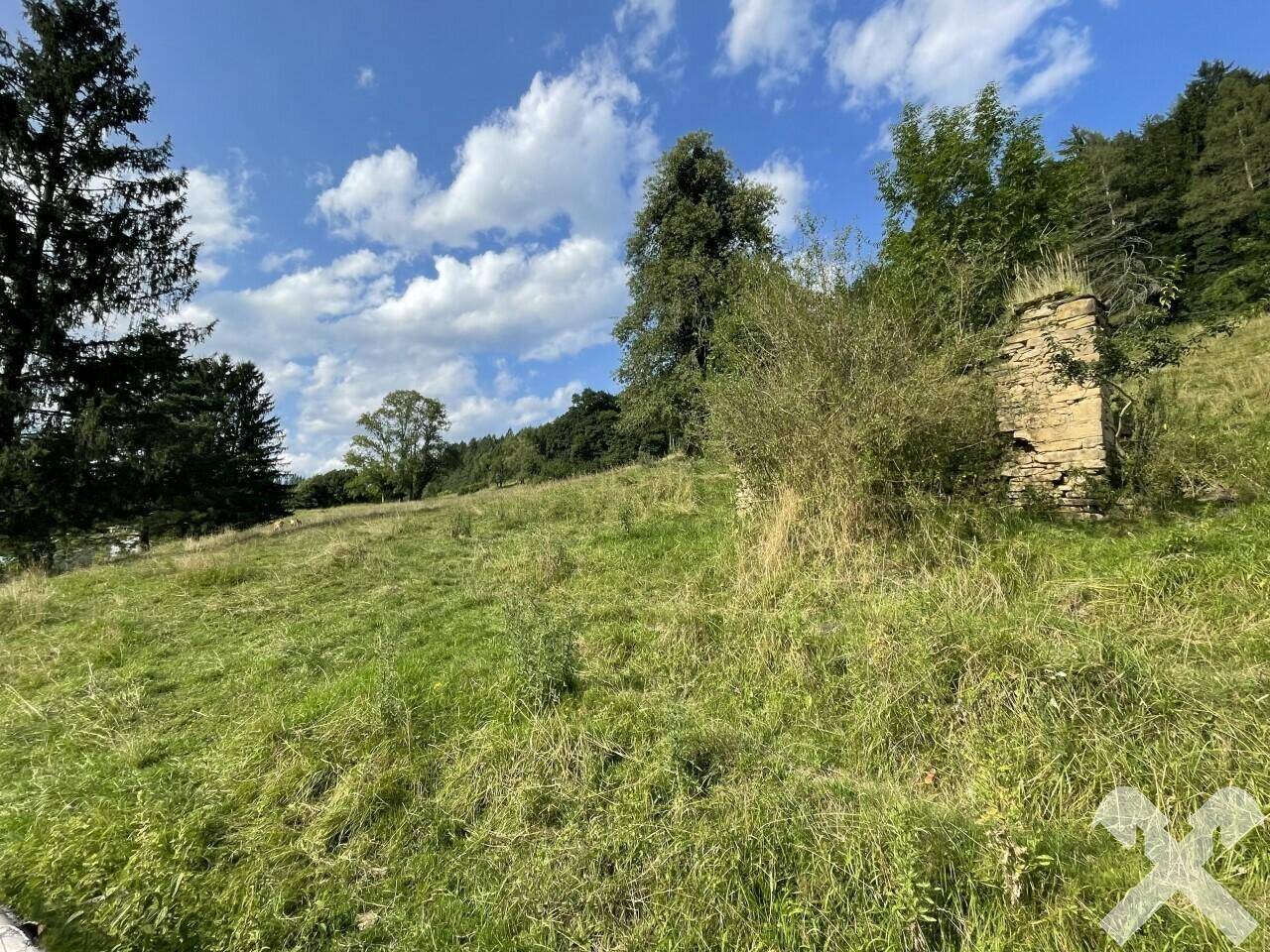 Weideflächen
