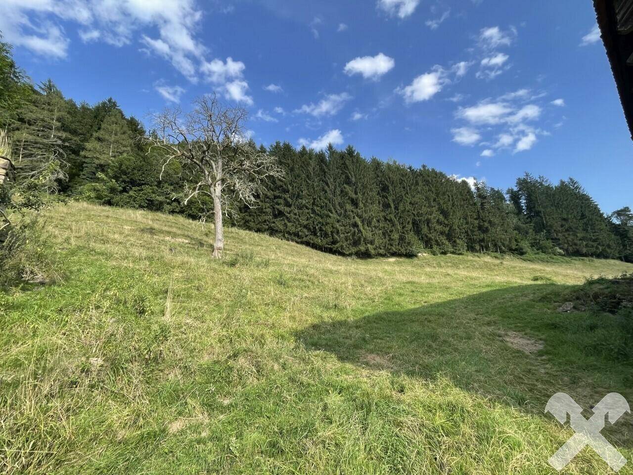 Weideflächen