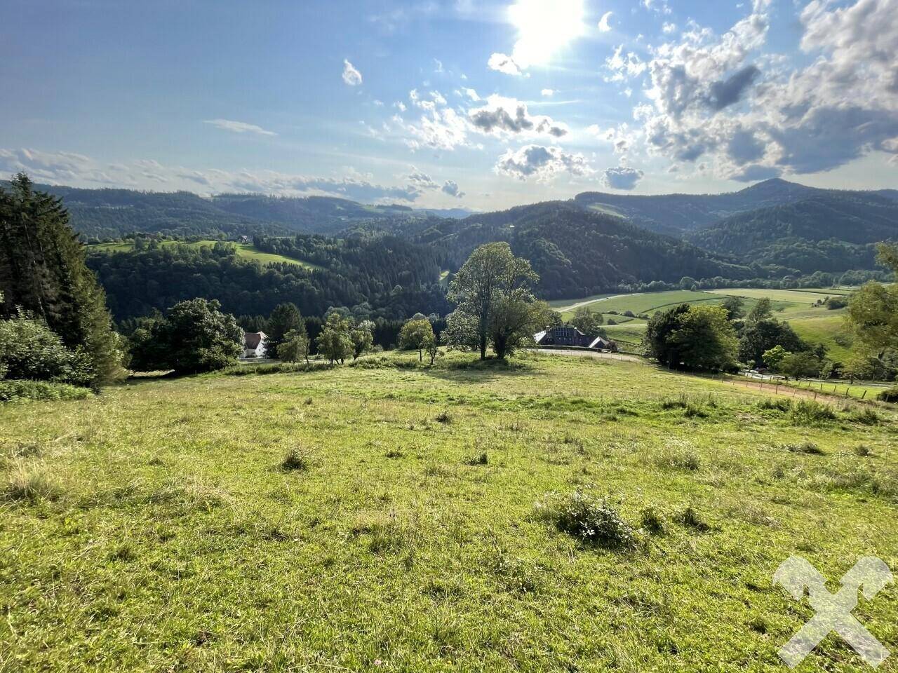 Westblick