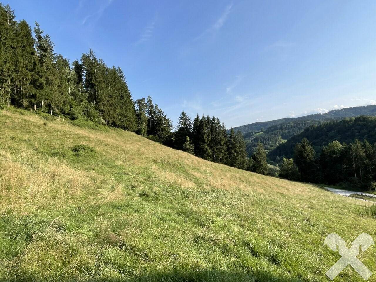 Weideflächen