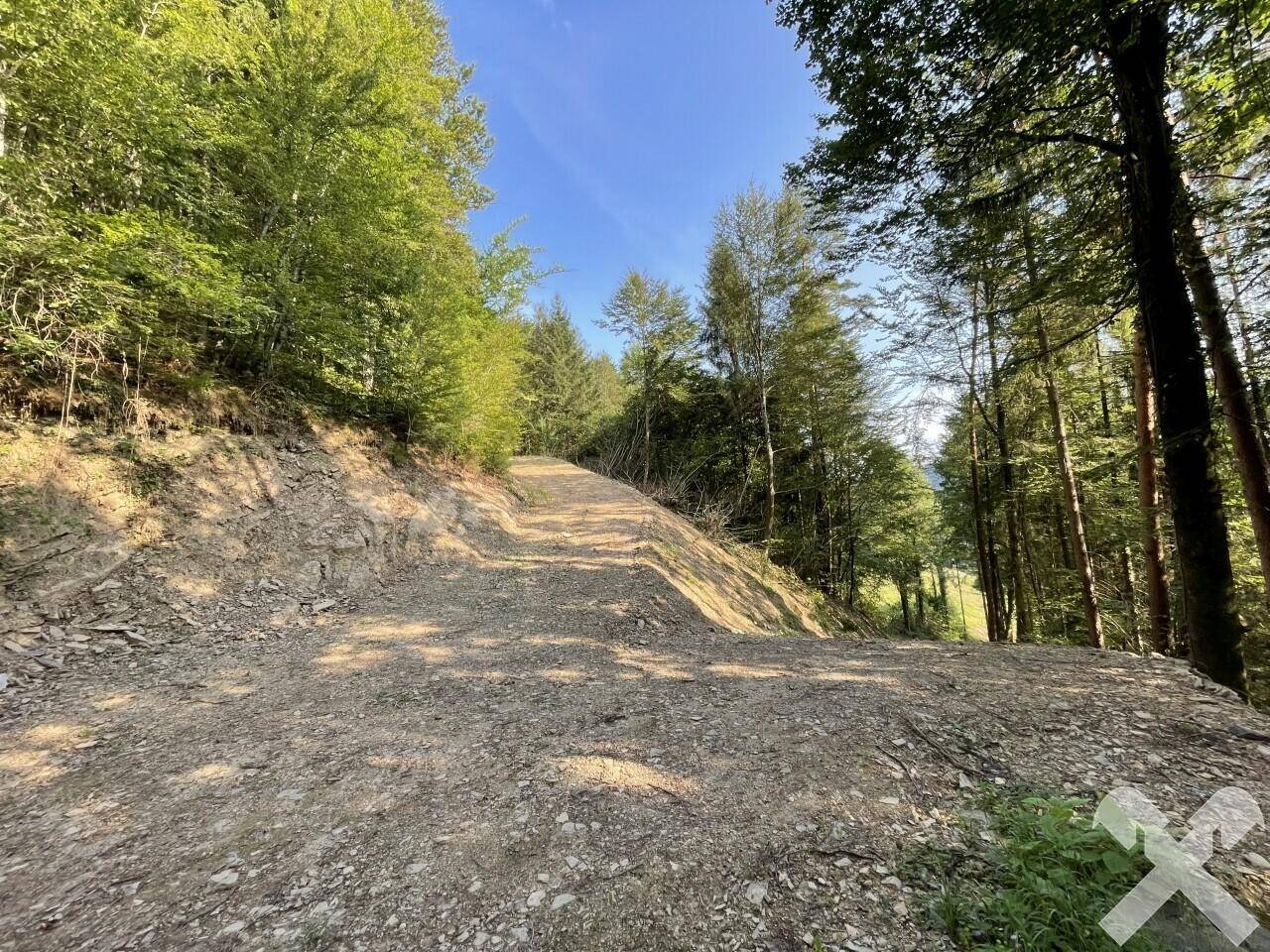 Rückeweg