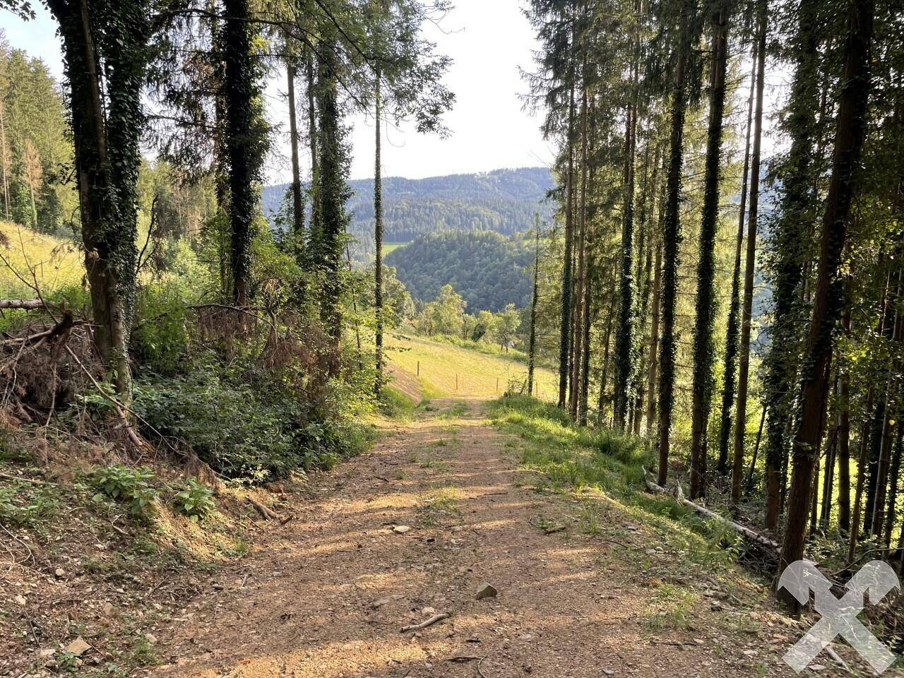 Rückeweg