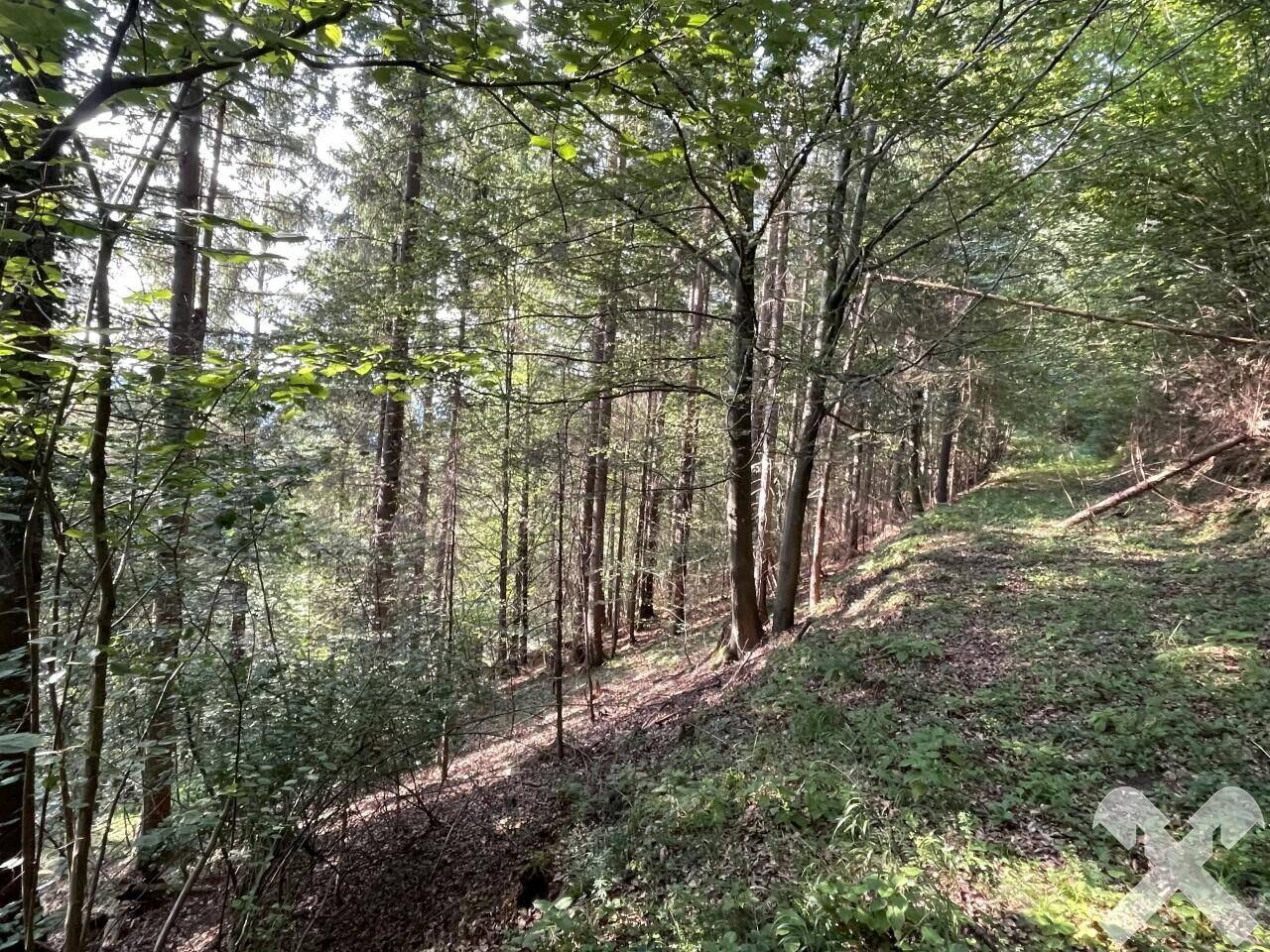 Rückeweg