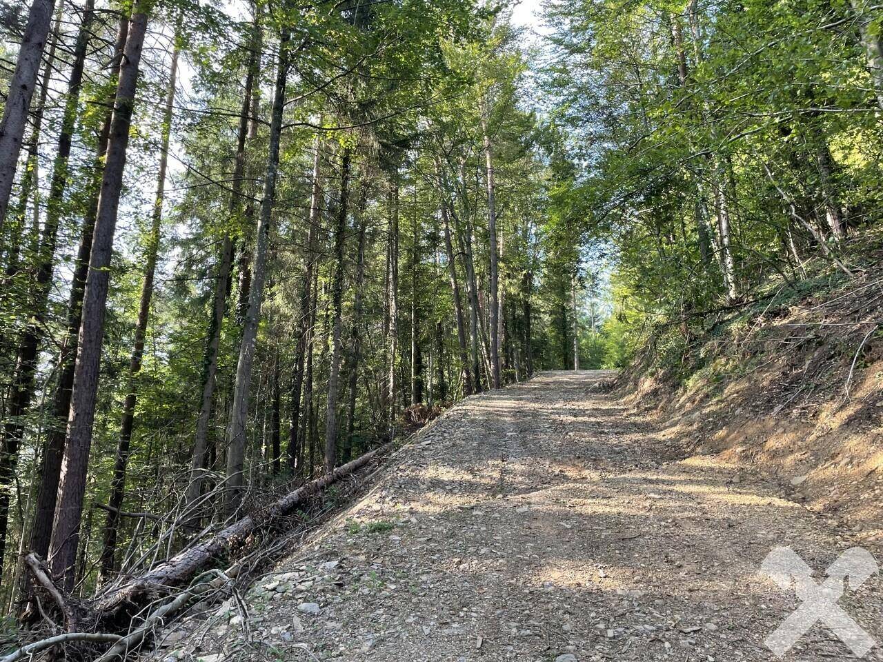 Rückeweg