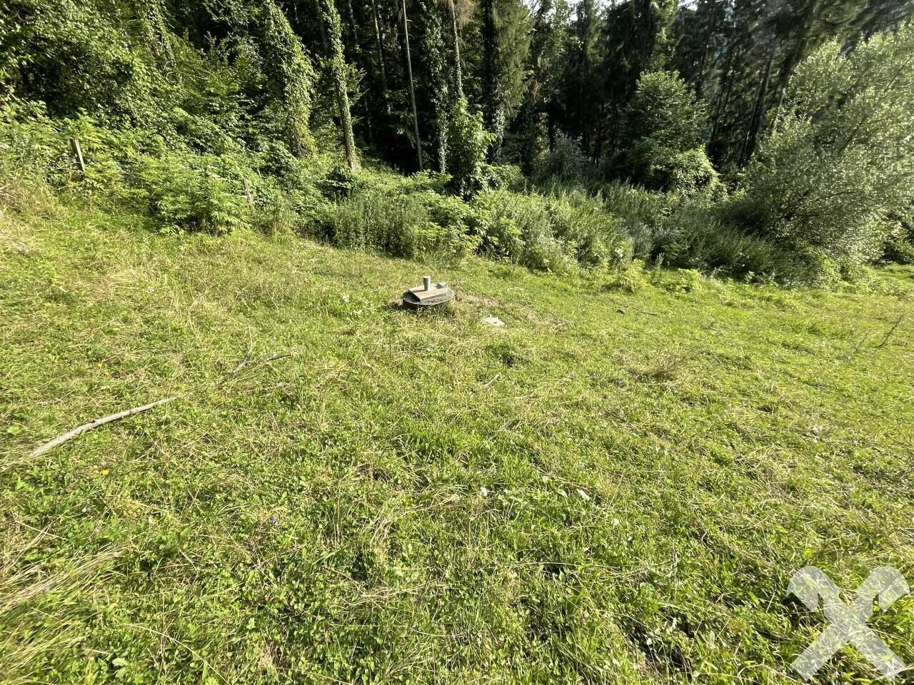 Quellfassung