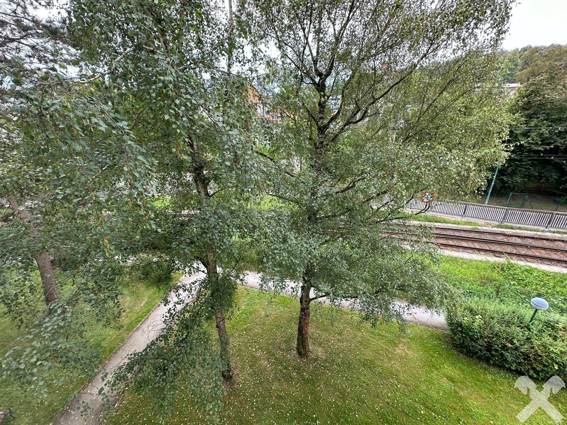Blick ins Grüne mit Bäumen und einer Bahntrasse im Hintergrund.