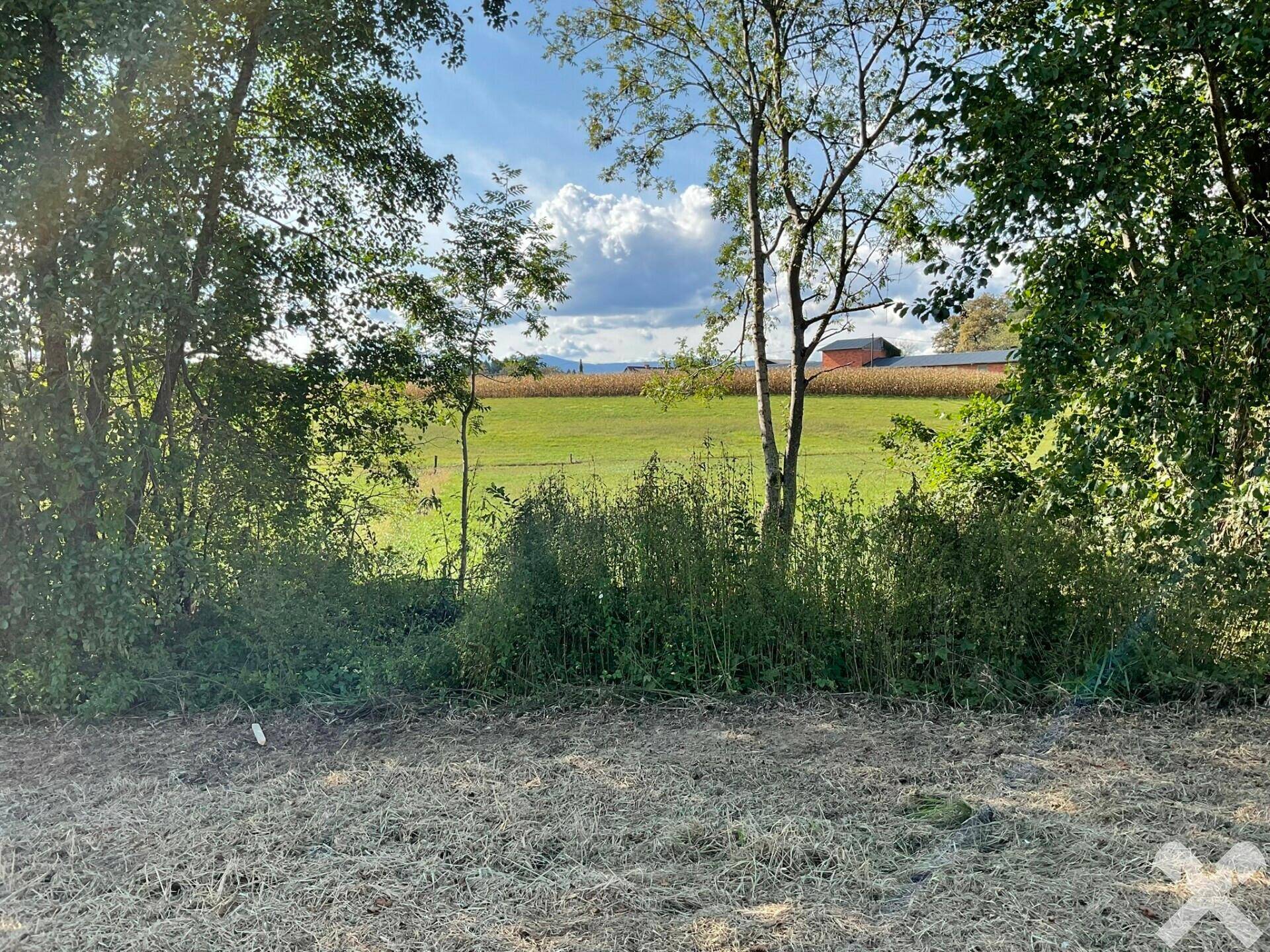 Ansicht West