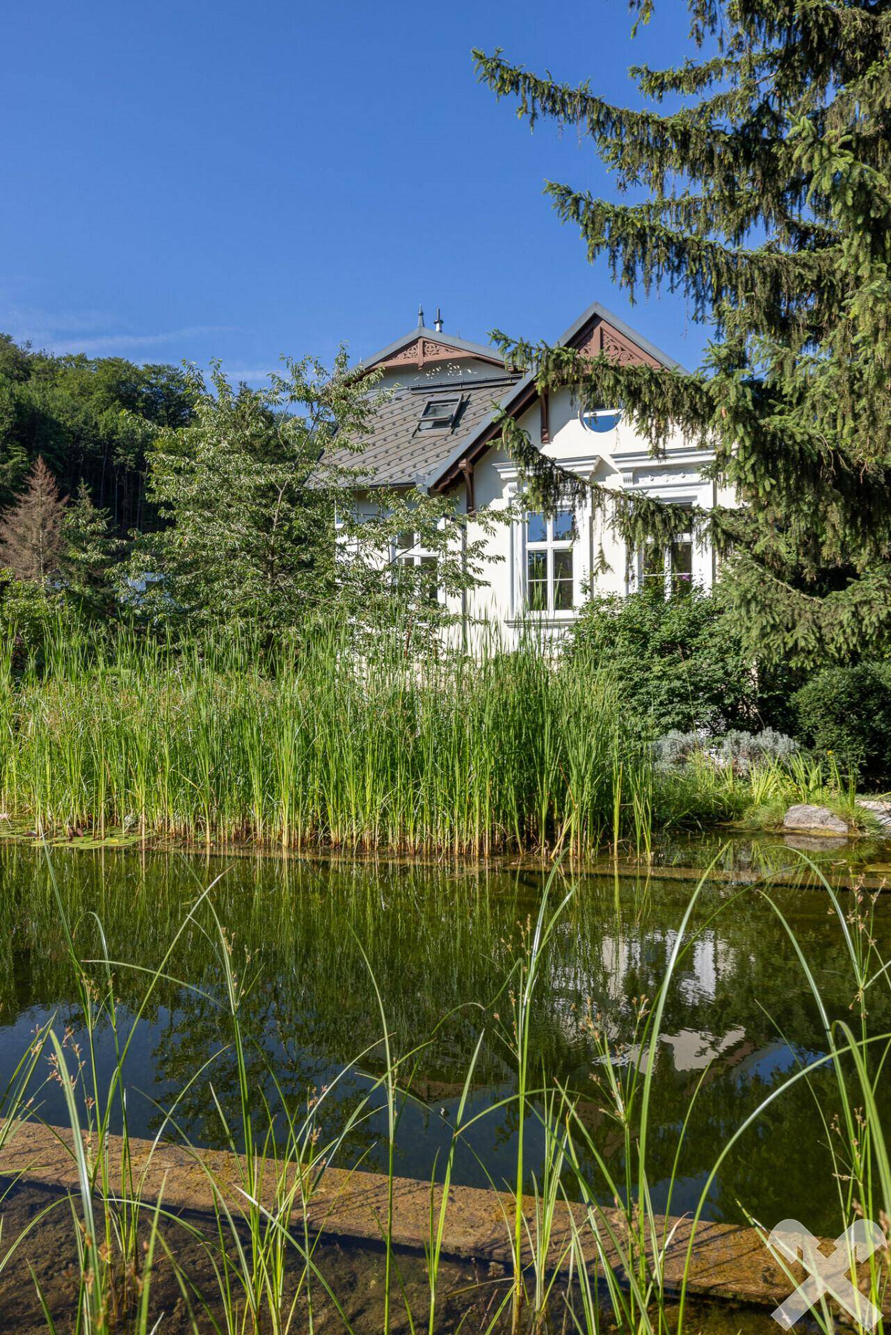 Ostansicht mit Naturschwimmteich