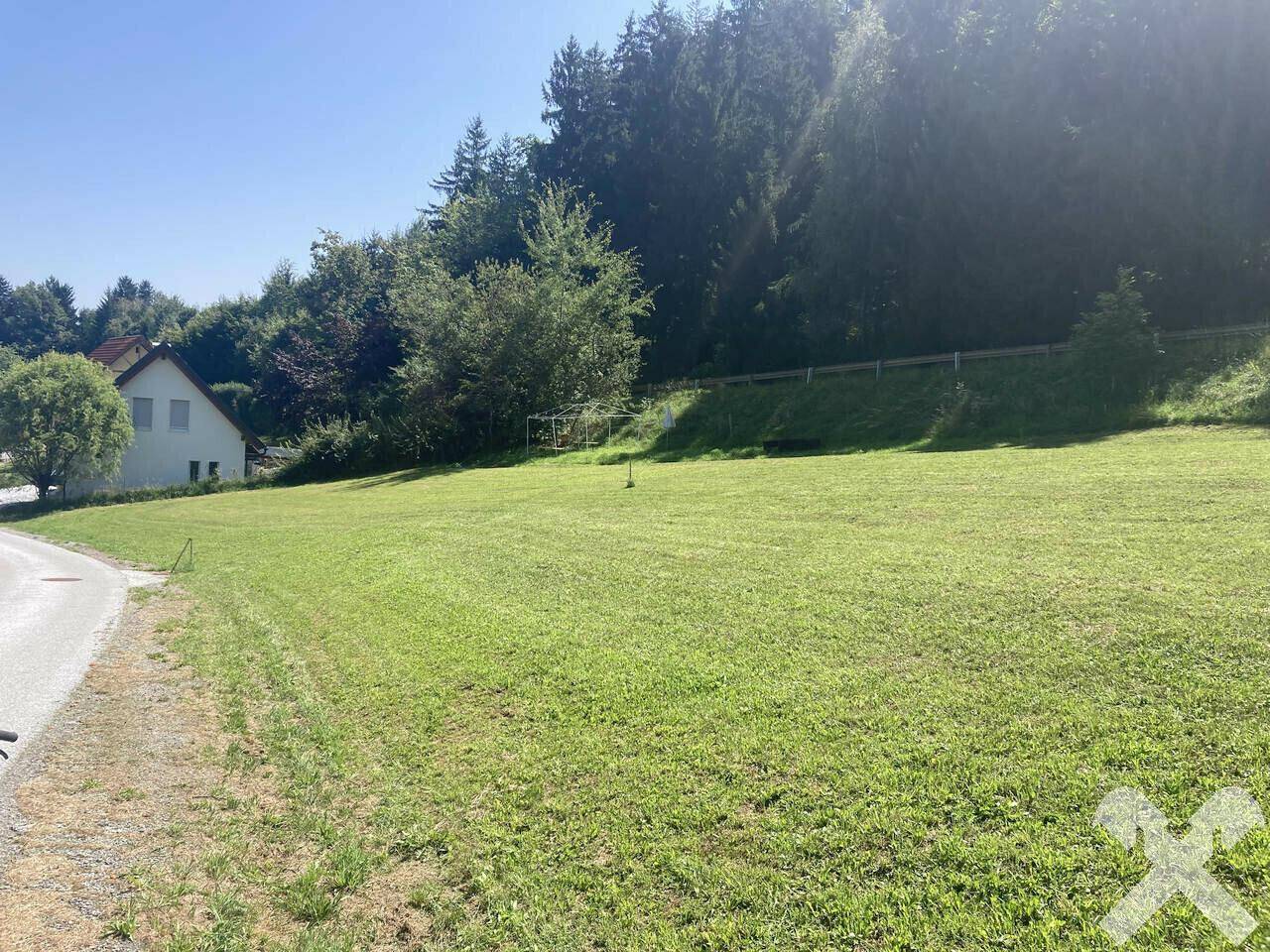 Eine große, sonnige Wiese grenzt an einen Waldrand und eine Straße mit einem Haus im Hintergrund.