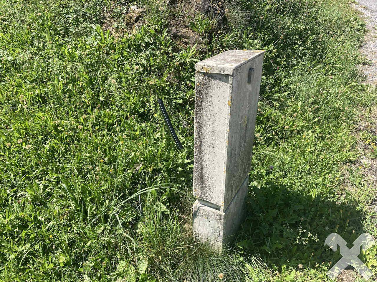Ein grauer Stromkasten steht inmitten von hohem Gras und Unkraut am Rande eines Weges.