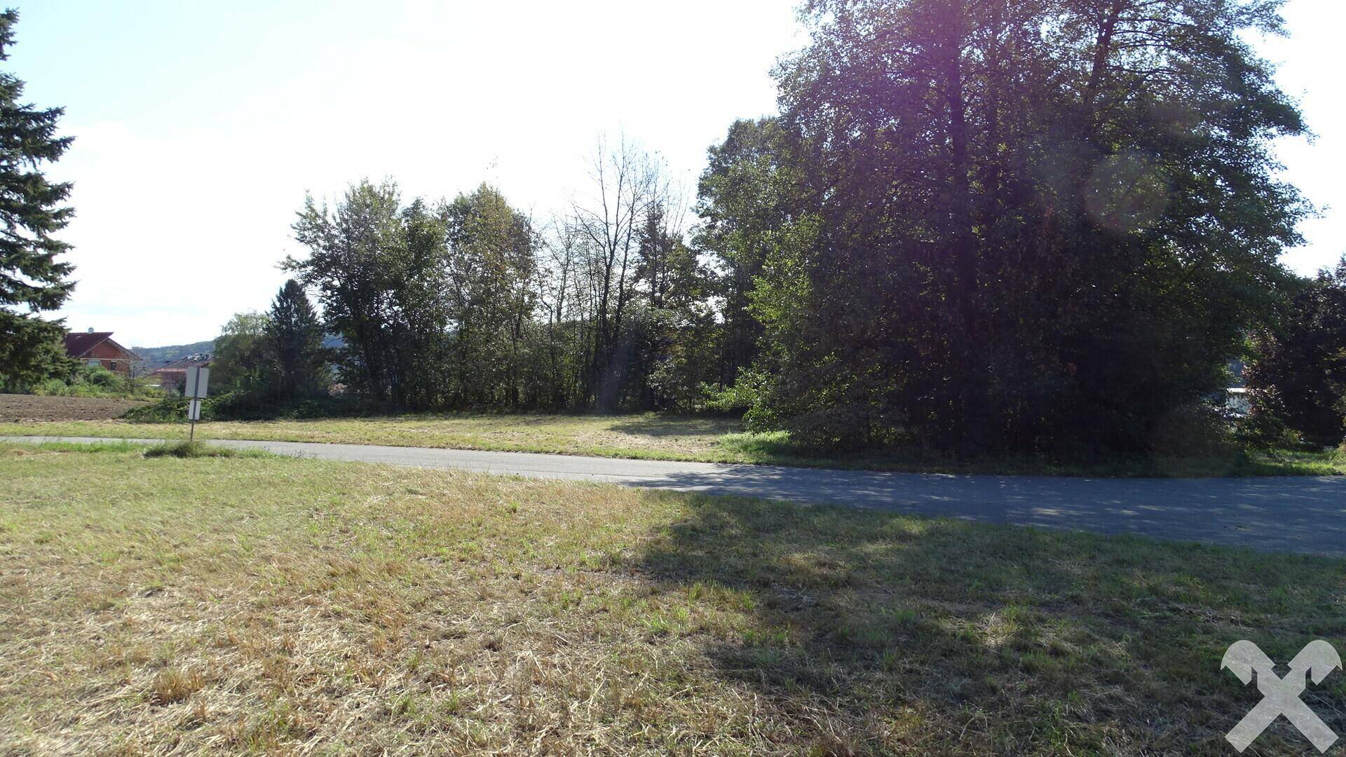 Sonnenbeschienene Grünfläche mit einem asphaltierten Weg, umgeben von dichtem Baumbestand.