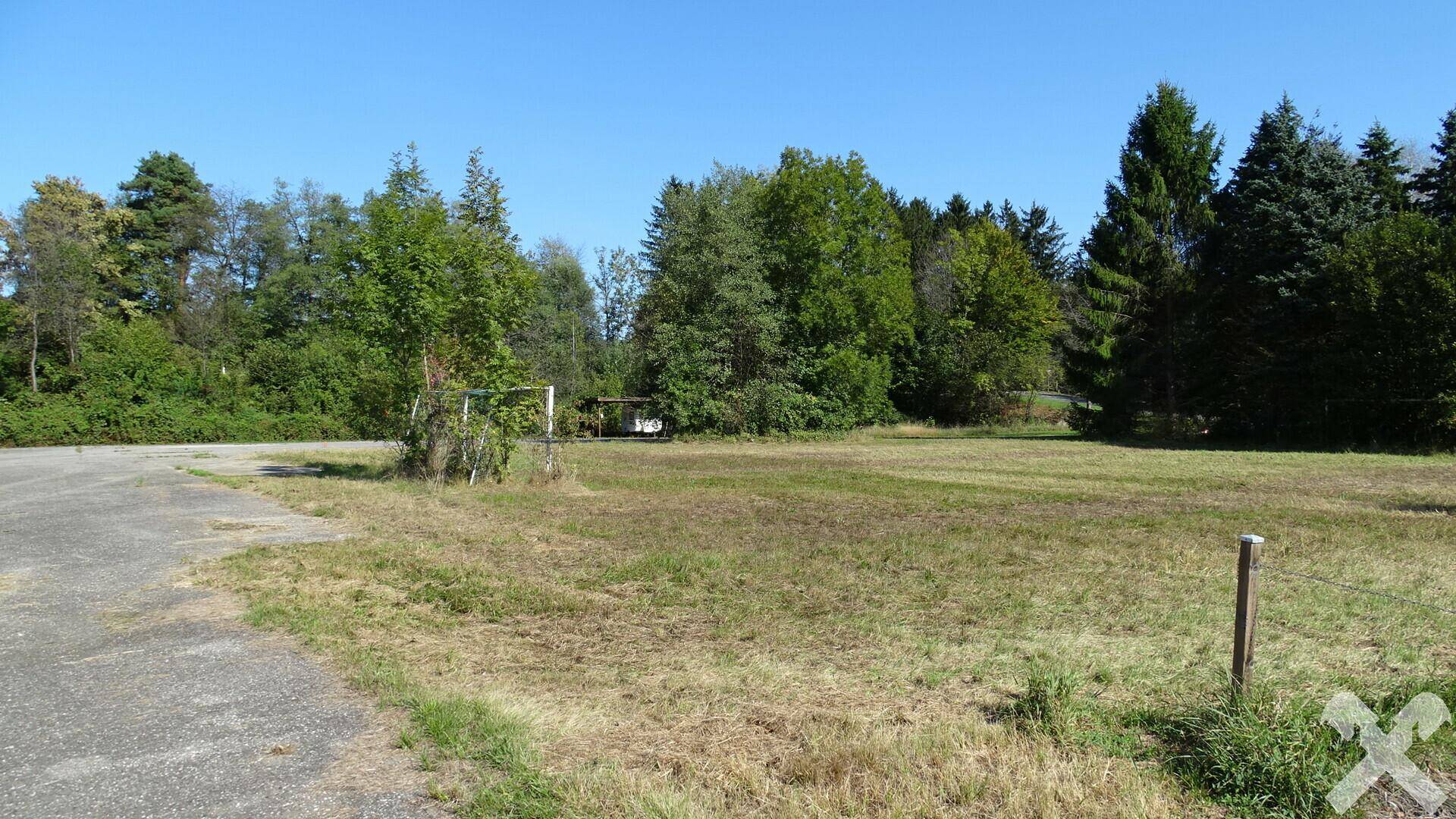 Offenes Gelände mit Grasflächen und einem asphaltierten Bereich, umgeben von verschiedenen Baumarten.