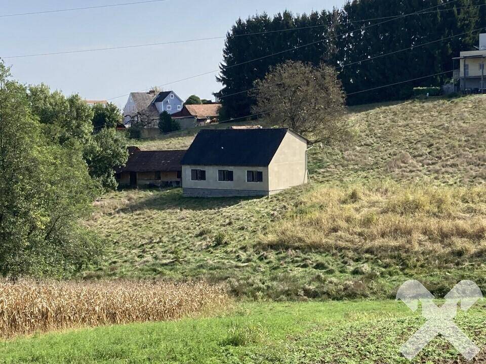 Haus mit Grundstück