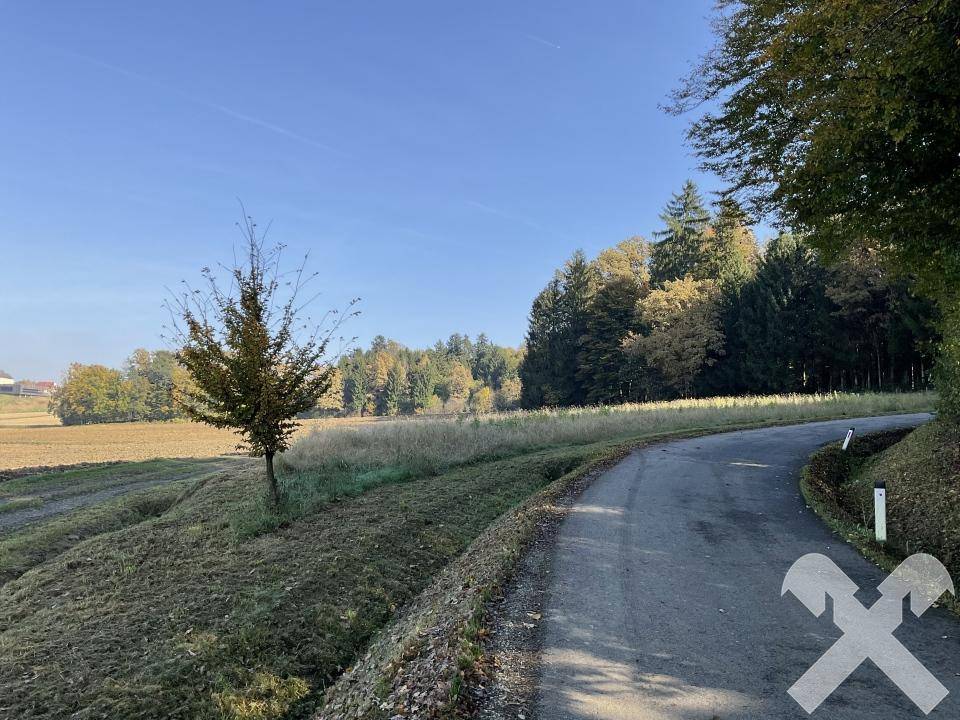 Landstraße schlängelt sich durch eine herbstliche Landschaft mit Feldern und Wald unter blauem Himmel.