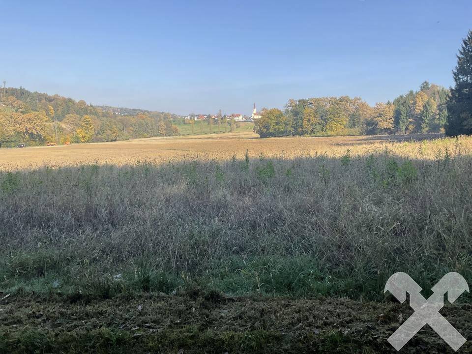 Weites Feld mit Blick auf ein entferntes Dorf und eine Kirche, umgeben von herbstlicher Natur.